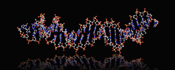 Nucleic Acid Aptamers