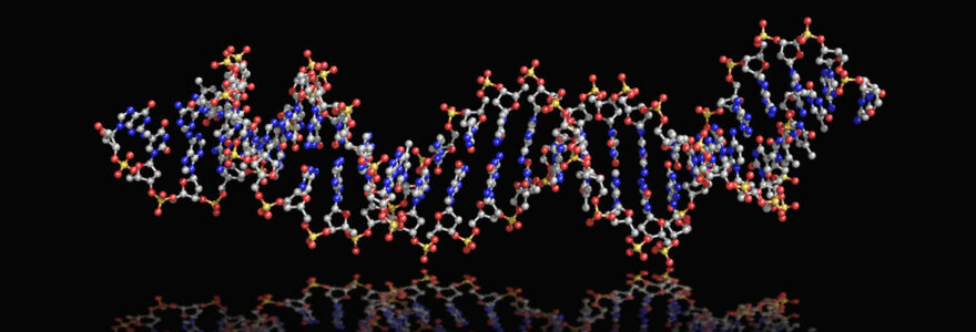 Nucleic Acid Aptamers