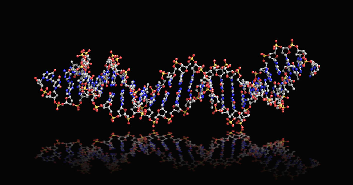 Nucleic Acid Aptamers